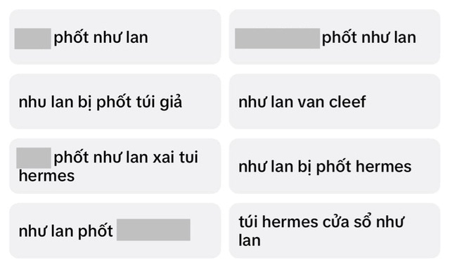 “Phú bà” Như Lan bị tố dùng túi Hermes fake là ai? - Ảnh 1.